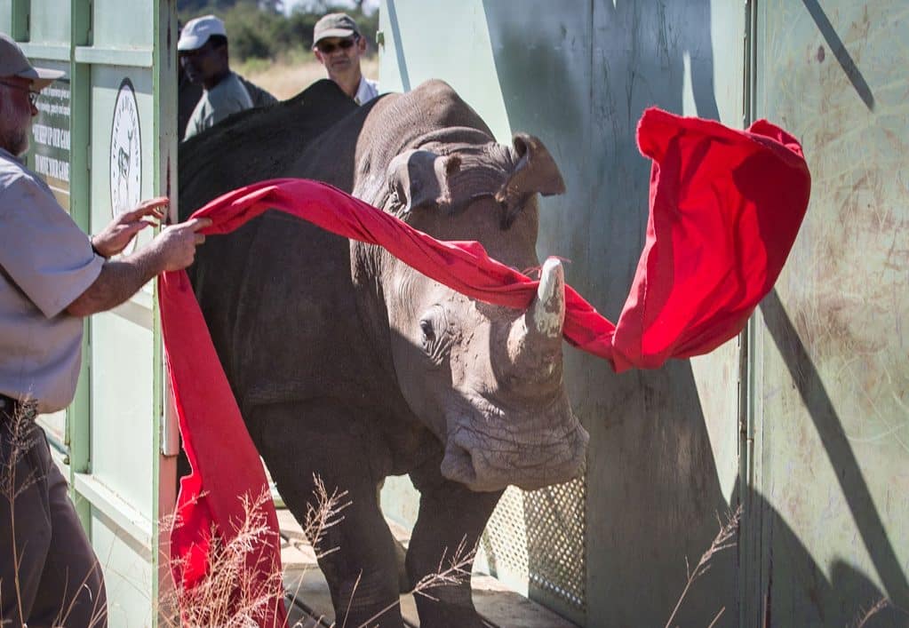 great plains conservation