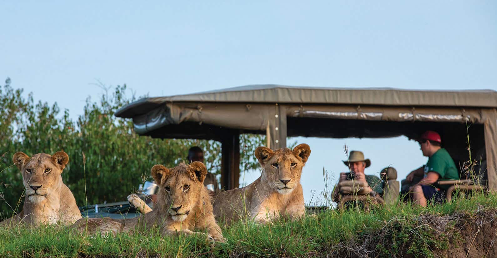 Guests enjoying a game drive at Mara Expedition