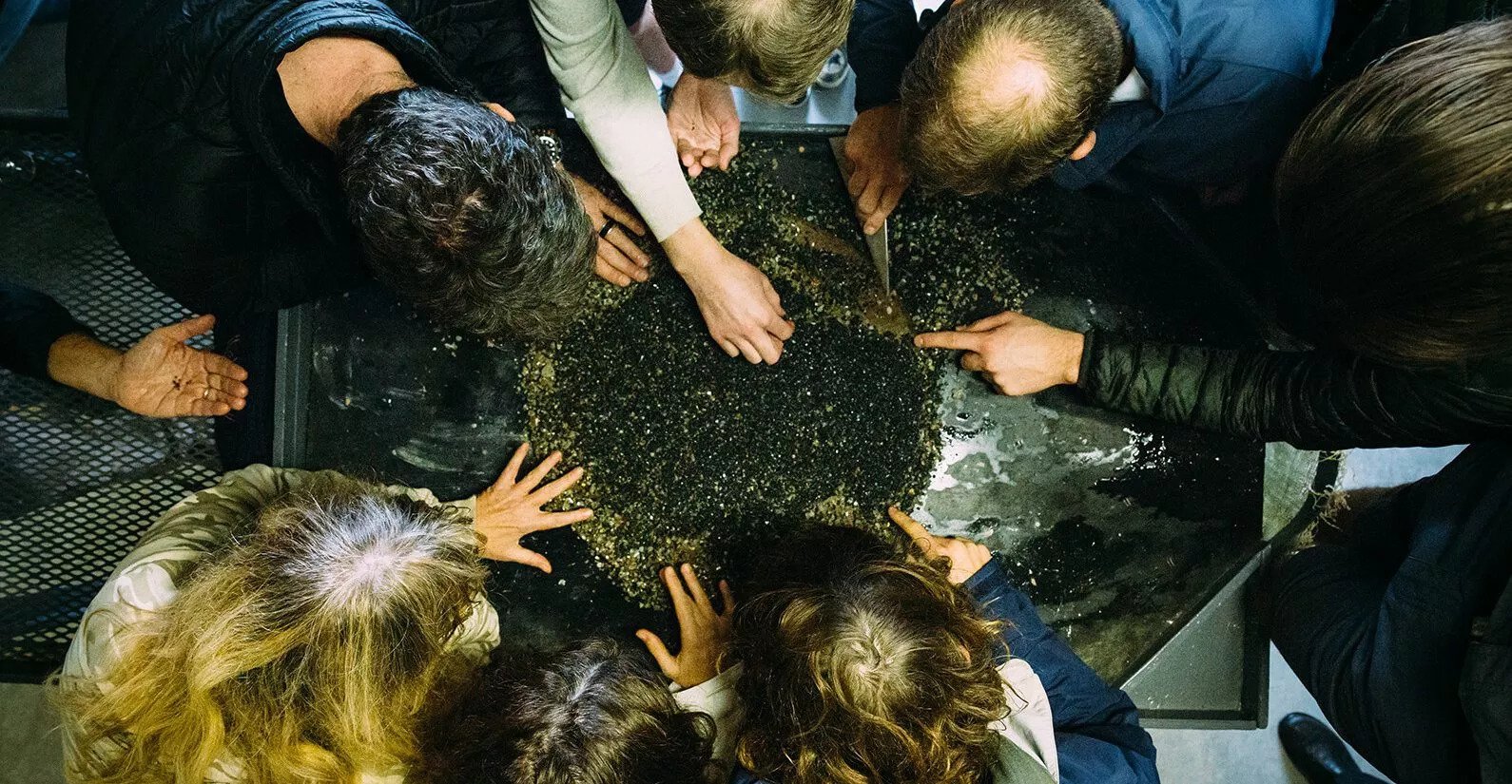 benguela diamond experts