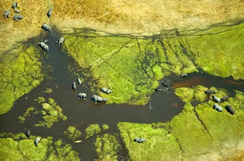 okavango delta
