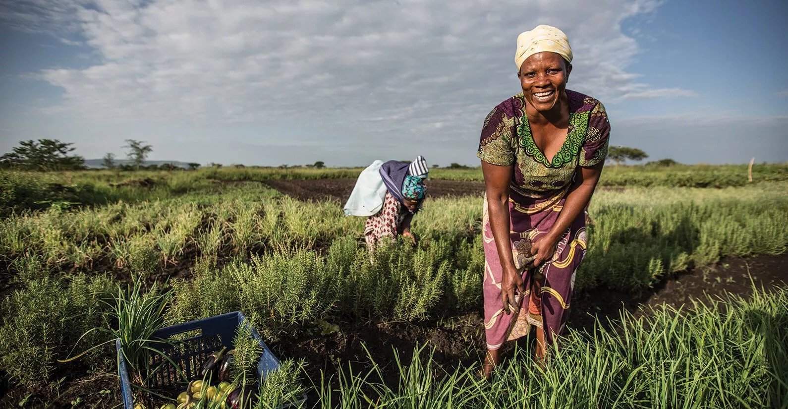 Sustainable farming at GHOMACOS