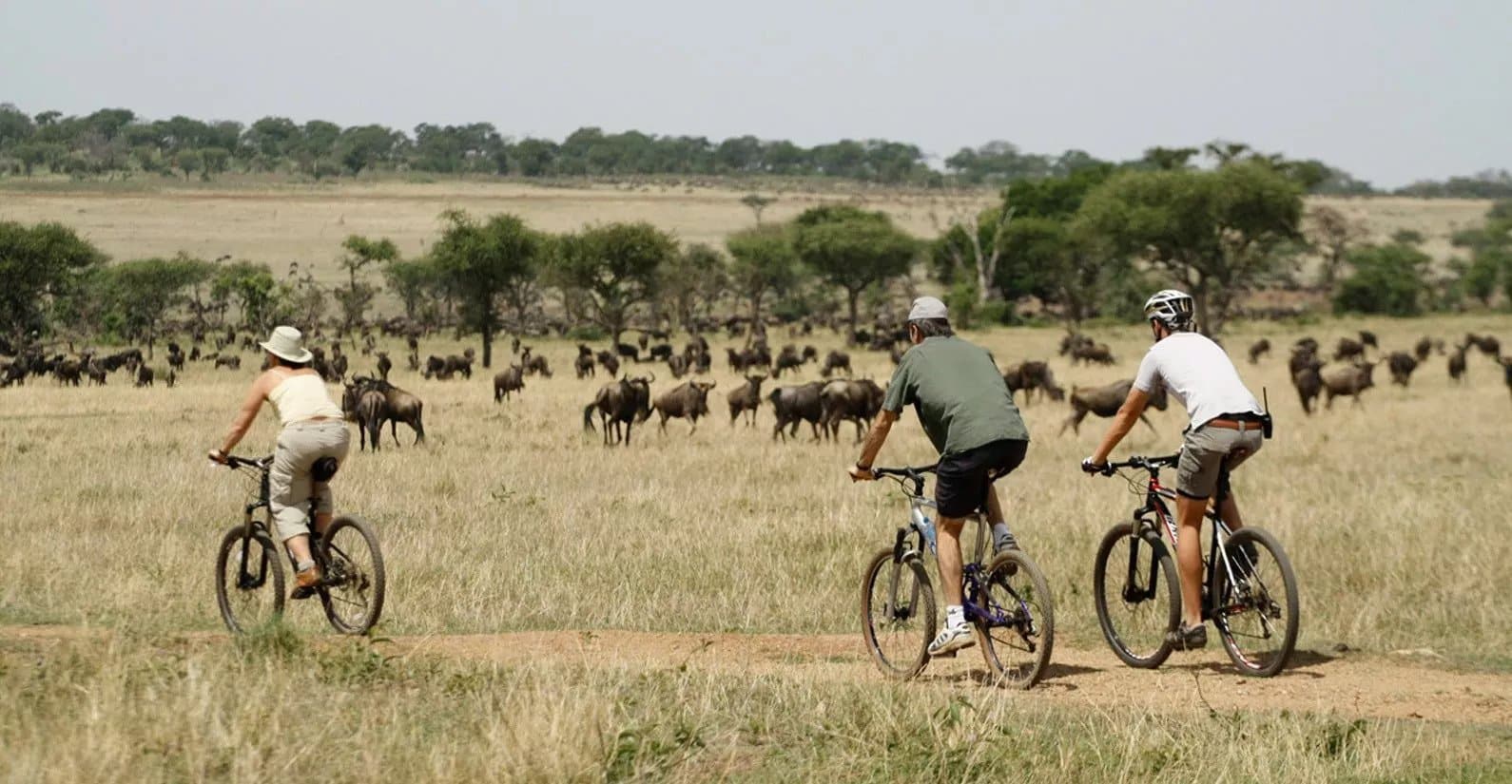 Cycle through the Serengeti at Singita Sasakwa
