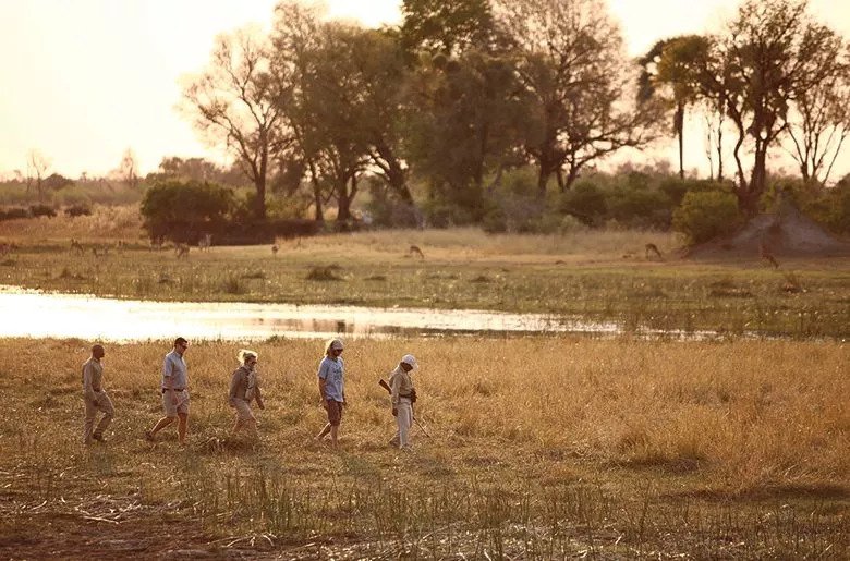 walking safari