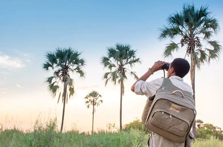 Guided walking safari