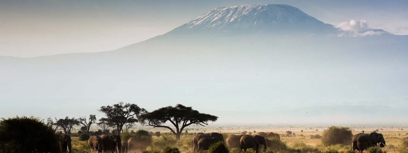 ARUSHA-HEADER