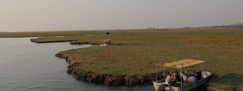 chobe-header