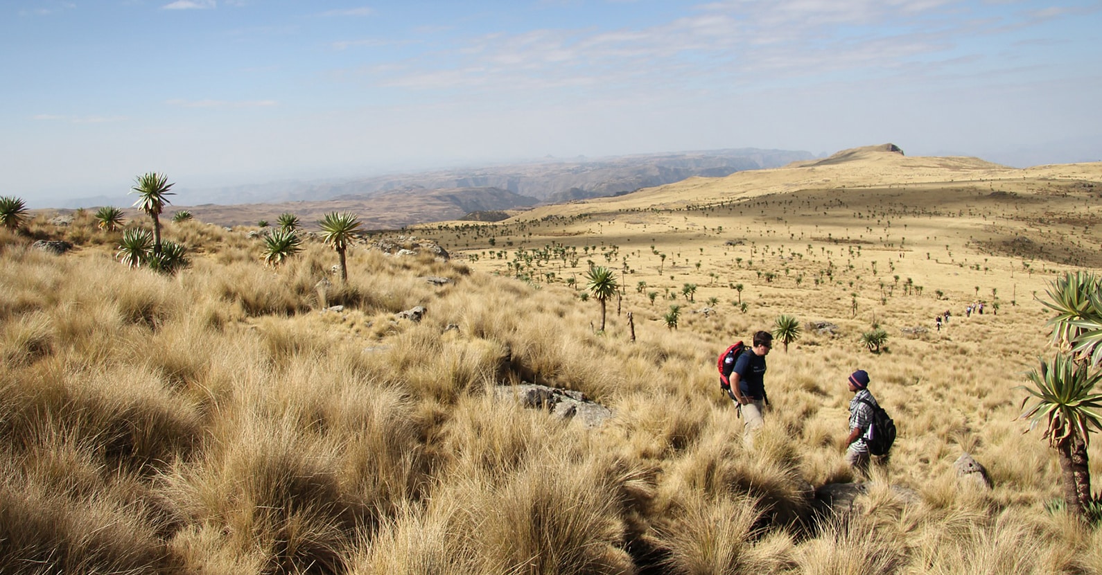 Trekking through the Simien Mountains.