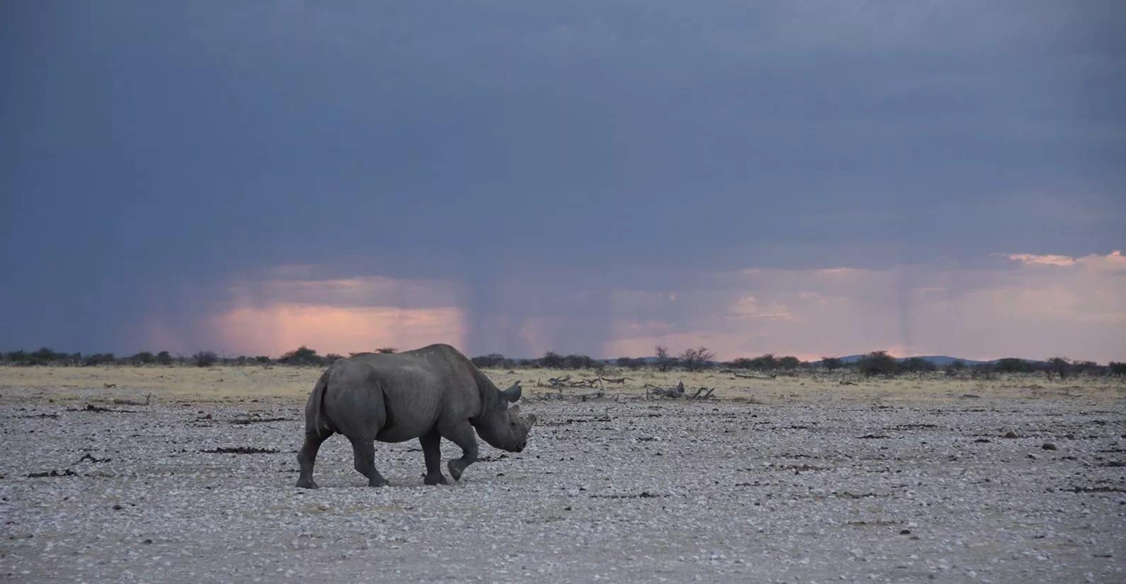 Etosha thunderstorm