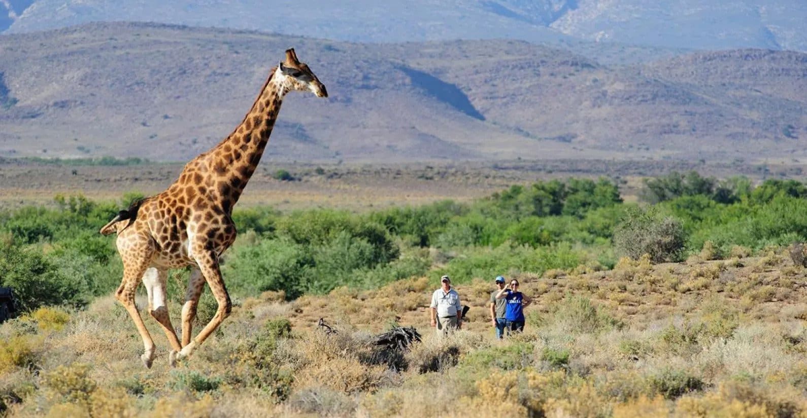 Walking safari experience at Sanbona Wildlife Reserve