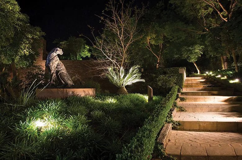 Sitting Cheetah, Dylan Lewis