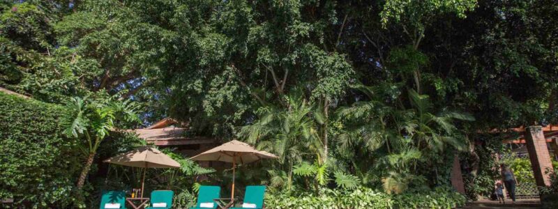 Elewana-Arusha-Coffee-Lodge_2