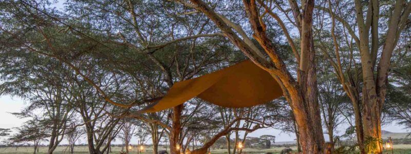 Ready for dinner on the Sirikoi deck