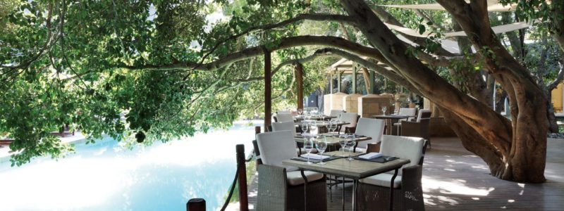 Saxon-FigTerrace1-min