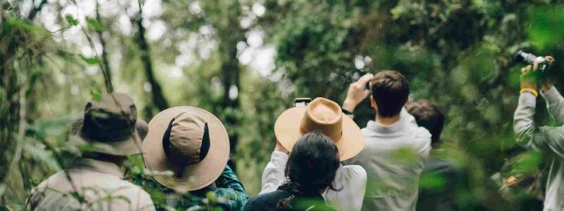 People taking photos in Ugandan rain forest looking in awe. Luxury African safari.