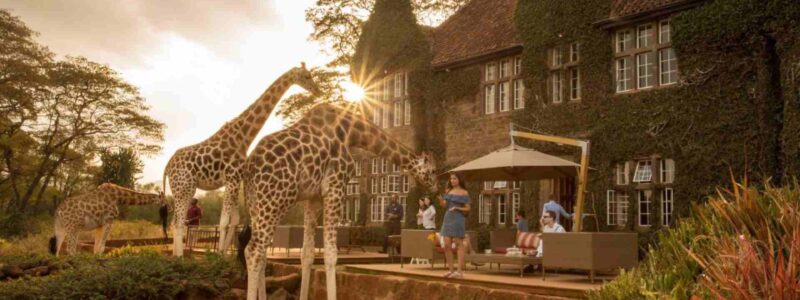 giraffe_manor_tea_time