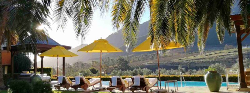 Luxury poolside view at La Residence estate in Franschhoek, surrounded by palm trees, vineyards, and mountains.