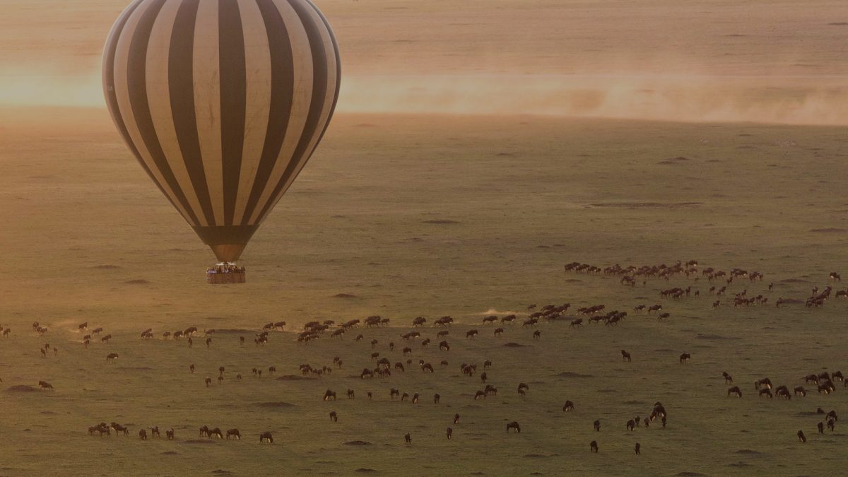 Uganda Great Migration from the view of a hot air balloon. Animals below. Luxury African safari experience.