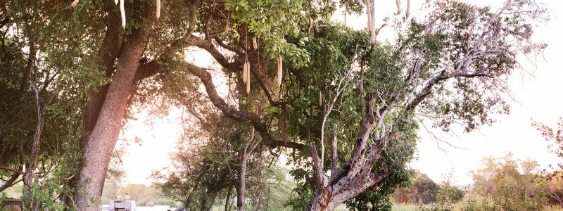 1._matetsi_westcamp61