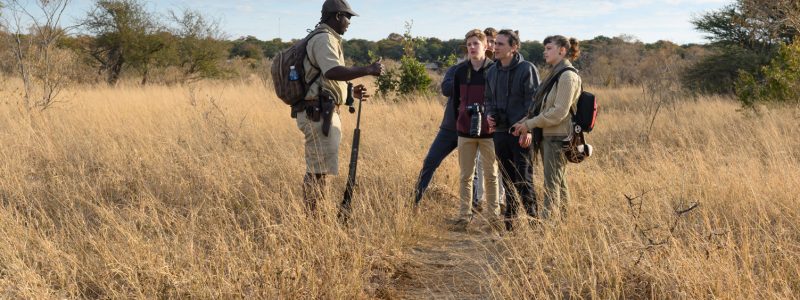 Zimbabwe Walking Safari. Tour guide guiding people through African plains with beautiful skies above on African safari.