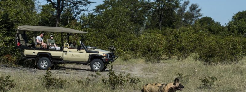 42Sable Alley - Wild Dogs