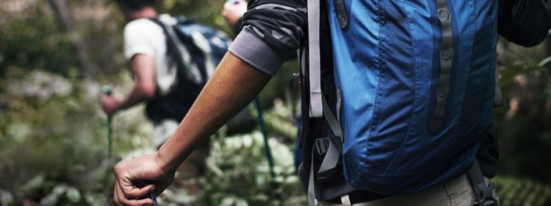 Trekking in a forest