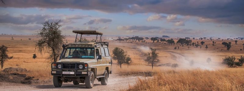 Safari jeep driving on a dusty dirt road through the vast savannah landscape of Serengeti National Park, Tanzania, under a cloudy sky.
