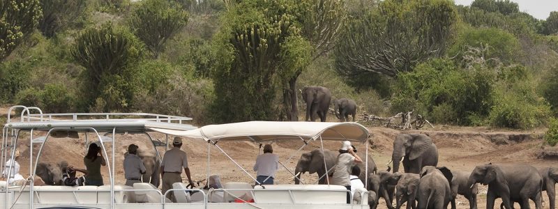 Boat-Cruise-on-Kazinga