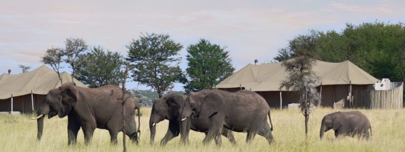 Campground Sighting 2