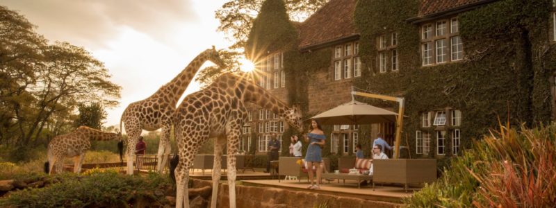 Giraffe Manor-_53a2559