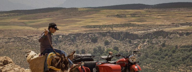 INS_MA_Atlas_donkey_lg