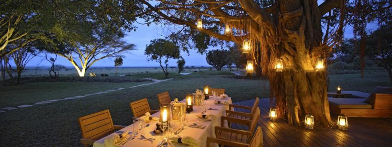 Kichwa_Tembo_guestarea3