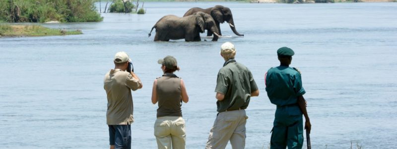 Walking safaris in Majete Wildlife Reserve