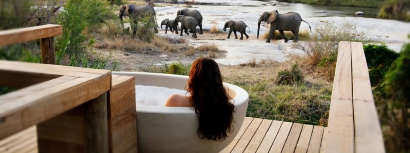 A person relaxing in a luxurious outdoor bathtub on a wooden deck, overlooking a river where a herd of elephants, including adults and calves, are visible in their natural habitat. This image highlights the unique wildlife viewing opportunities at Londolozi Private Granite Suites.
