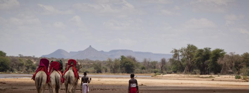 SASAAB - Camel trek 2