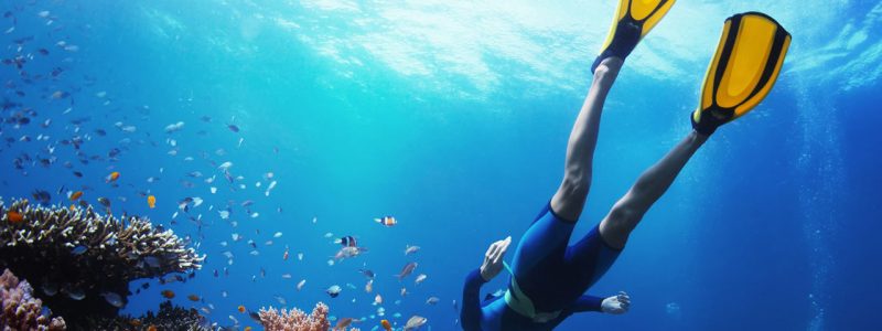 Snorkeling-Gallery-1