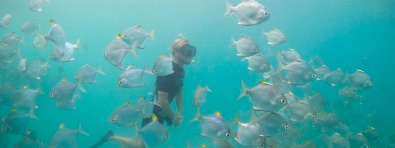 Time-+-Tide-Miavana-Diving-4