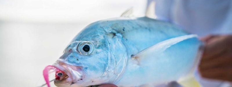 Time-+-Tide-Miavana-Fishing-6