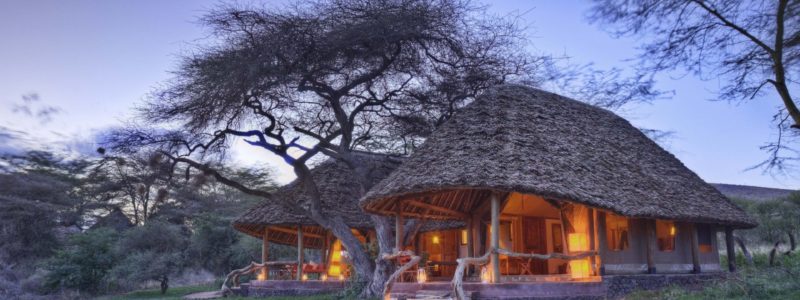 Tortilis Camp - Family Tent