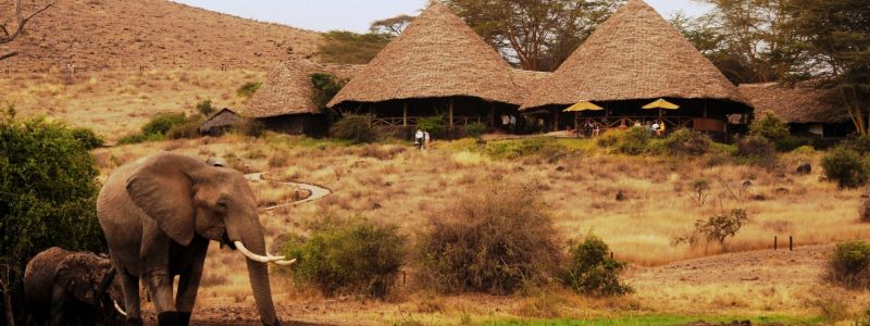 Tortilis Camp - Main Areas - Michael Poliza Photography
