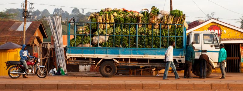 Local Ugandan village, delivering food supplies by truck to houses. Luxury African safari experience.