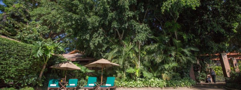Serene swimming pool surrounded by tropical gardens at Arusha Coffee Lodge in Tanzania, ideal for pre-safari relaxation.