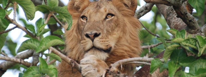 bakers-lodge=405169-340