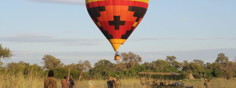 People looking at Botswana hot air balloon ride. African landscape, trees and vegetation.