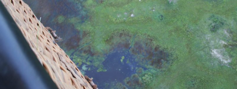Hot air balloon view of Botswana. African landscape, lake and vegetation.
