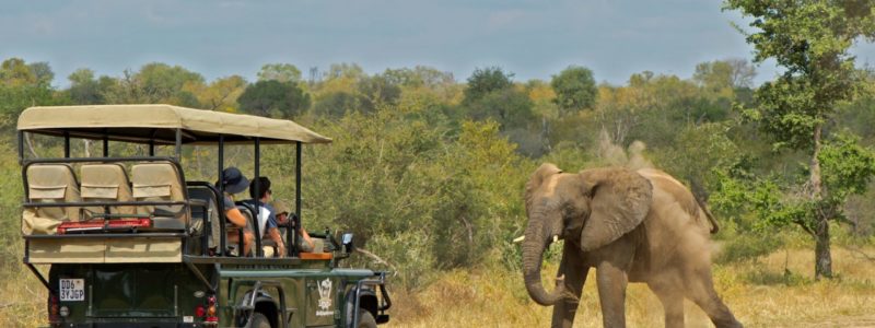 camp_jabulani_game_drive_1