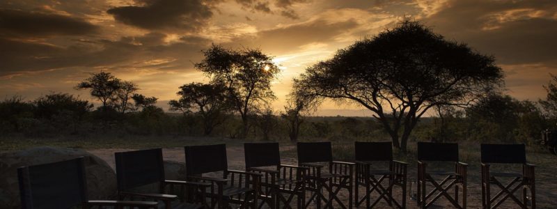 Camp Jabulani & Hoedspruit Endangered Species Centre • Photograph by Filmalter.