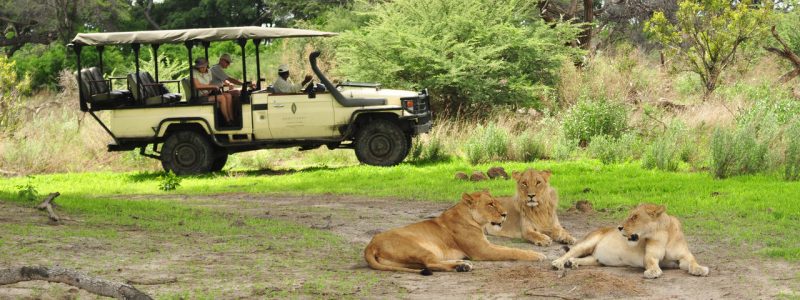 cedarberg-sanctuary-chiefs-camp-game-drive-19