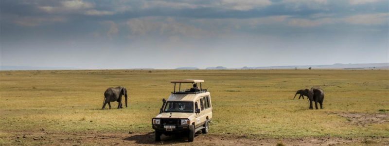 closed_game_drive_vehicles_3