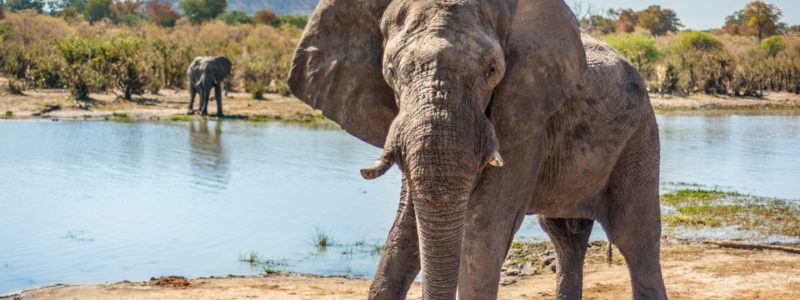 ghoha_hills_150819_02