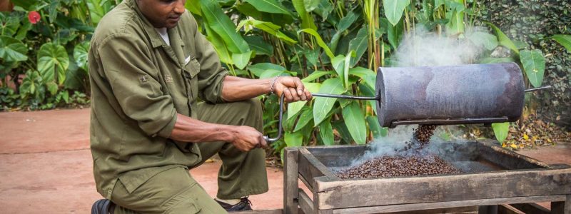 Man in green uniform roasting coffee beans using a traditional method at Gibbs Farm, in Tanzania.
